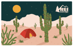 REI gift card